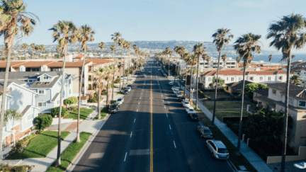 Palm trees at a street in California, where it is a good time to buy a house.