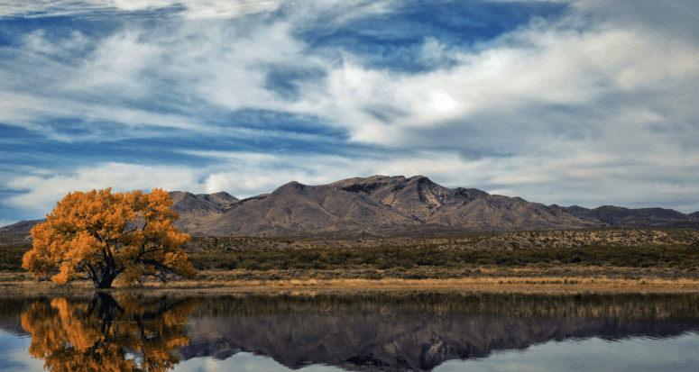 Image of River in Socorro, New Mexico