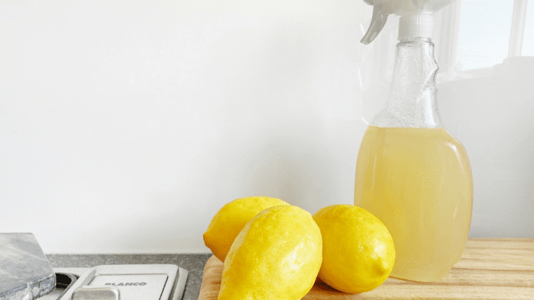 A homemade cleaner to deodorize a house