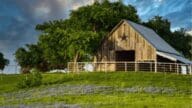 A barn and field of bluebonnets near Killeen, Texas, where We Buy Houses companies service homeowners.