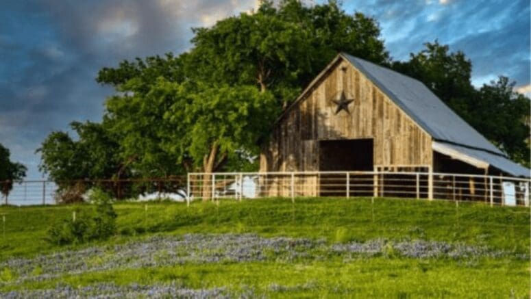 A barn and field of bluebonnets near Killeen, Texas, where We Buy Houses companies service homeowners.