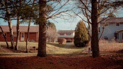 Photo taken through some trees of three suburban houses, including a split-level home with brick and yellow-painted wood siding.