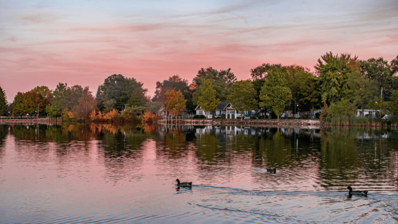 View of houses that could sell to cash home buyers in Michigan