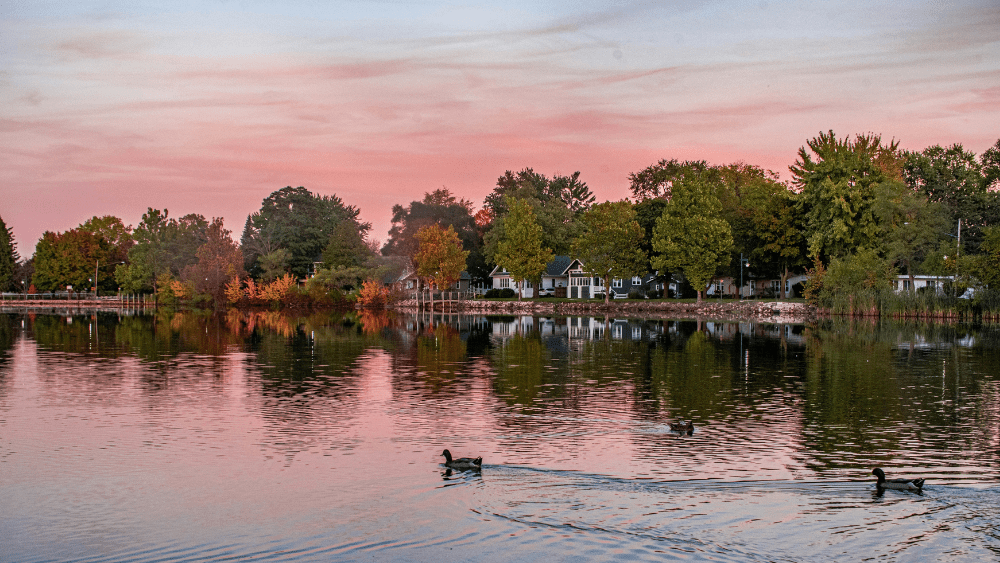 Streamline Your Home Sale With Cash Home Buyers in Michigan