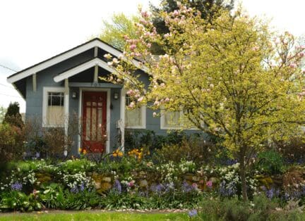 Blue-gray Craftsman bungalow with a maroon front door and a lush garden filled with flowers and a blossoming tree.