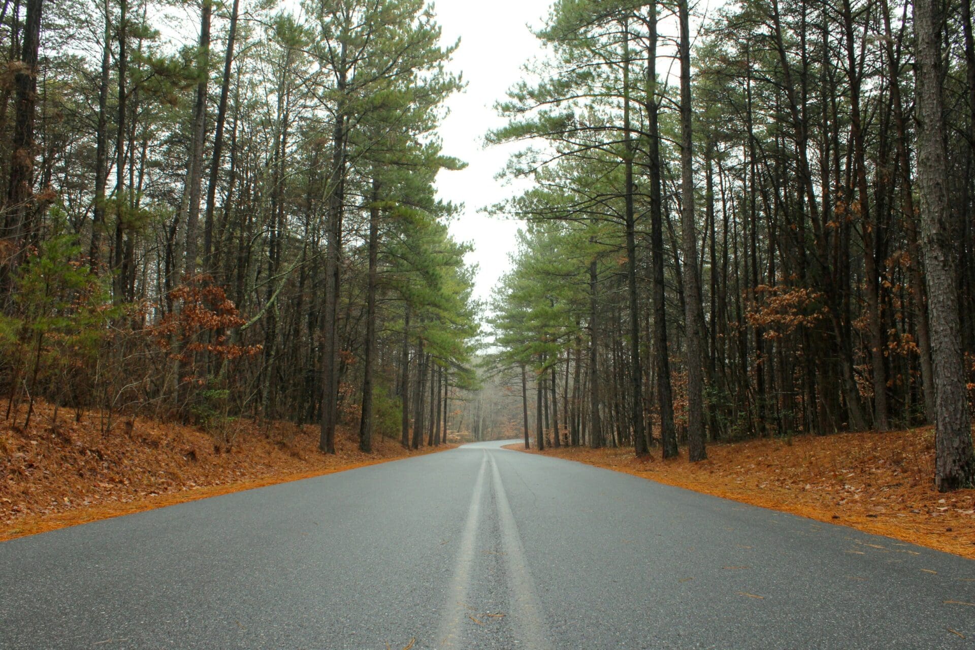 People are looking to buy a house in the forested town of Oak Ridge, North Carolina.