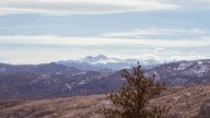 Fort Collins, where home sellers can work with an estate sale company prior to listing