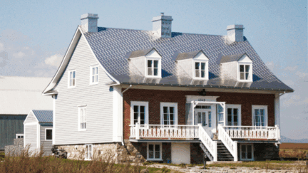 An image showcasing a specific type of house
