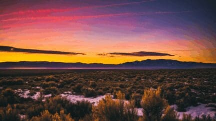 New Mexico, where sellers are required to accomplish a disclosure form