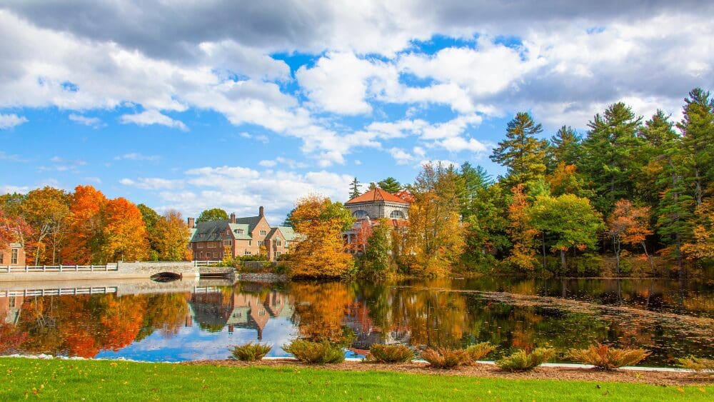 Source: (Mohan Nannapaneni/ Pexels)